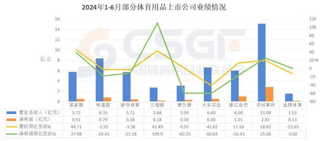 星空智能科技：从2024半年报看中国体育用品公司如何穿越周期(图1)