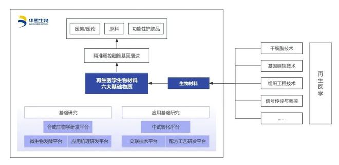 星空智能科技：华熙生物细胞「再生医学」成果发布开启美妆精准调控时代(图7)