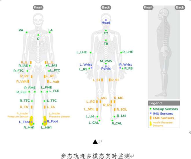 复旦团队脑脊接口研究获进展有望助瘫痪患者重新行走(图2)